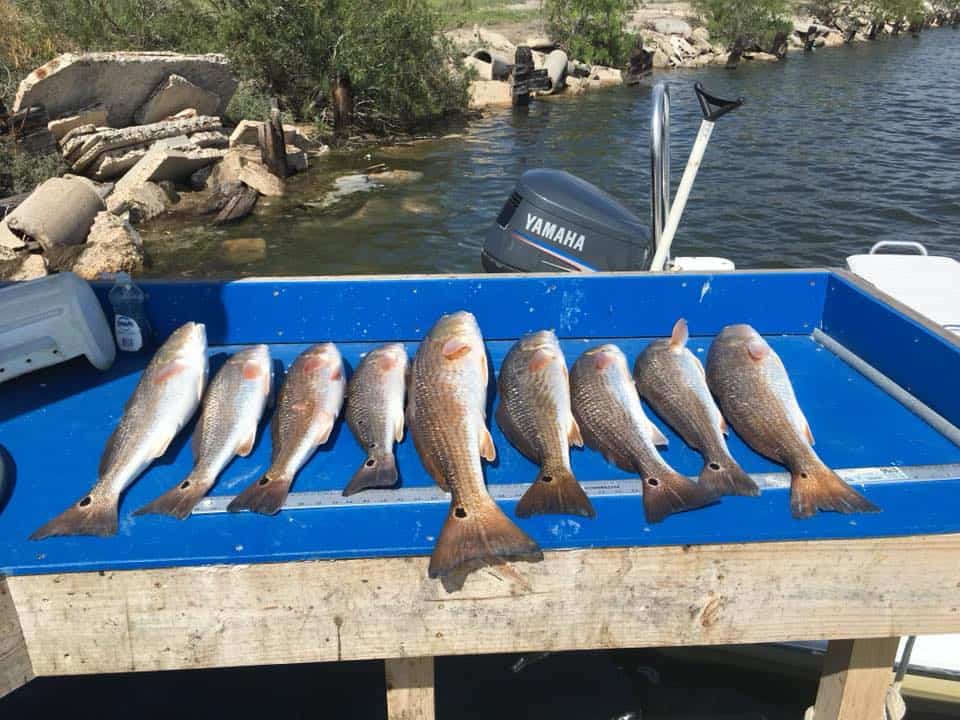 Charter Fishing in South Texas