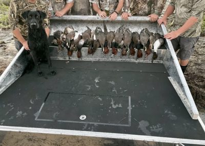 Coastal Duck Hunters